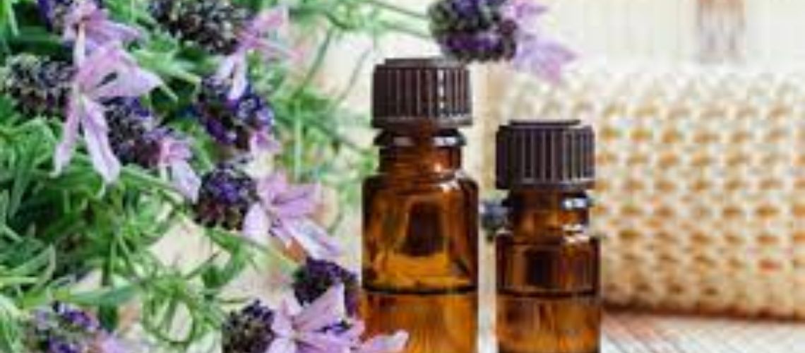  A leveza e magica terapia com florais 